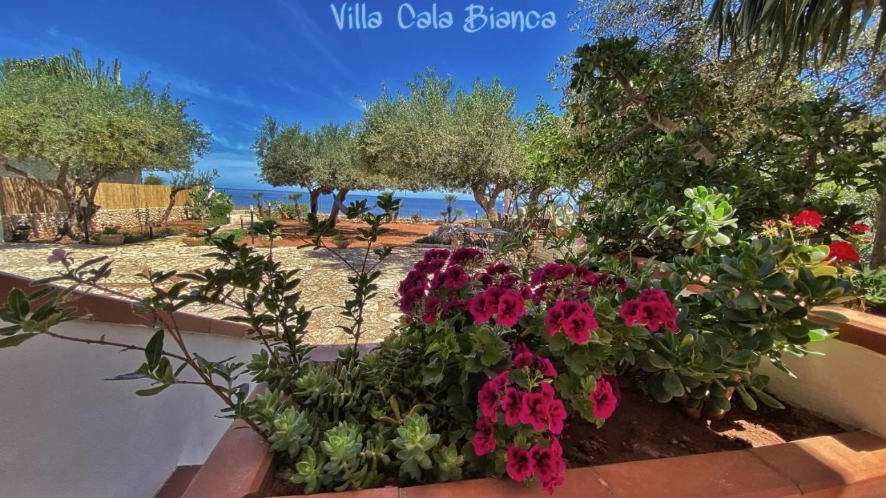 Villa Cala Bianca Castellammare del Golfo Exteriér fotografie